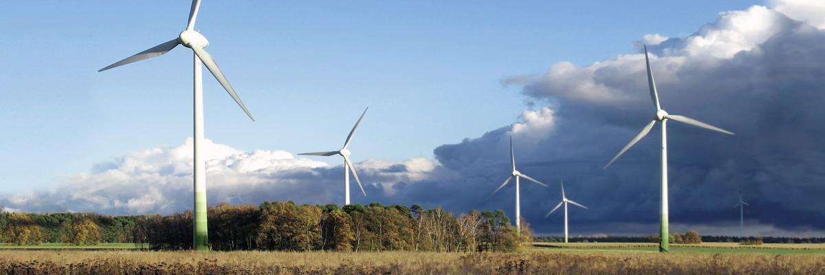 Erneuerbare Energien: Windpark
